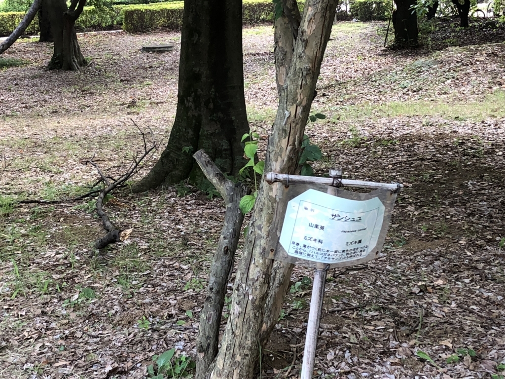 f:id:hideki-sansho:20180724141101j:plain f:id:hideki-sansho:20180724141101j:plain