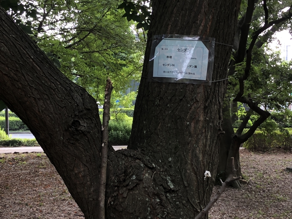 f:id:hideki-sansho:20180724141118j:plain f:id:hideki-sansho:20180724141118j:plain