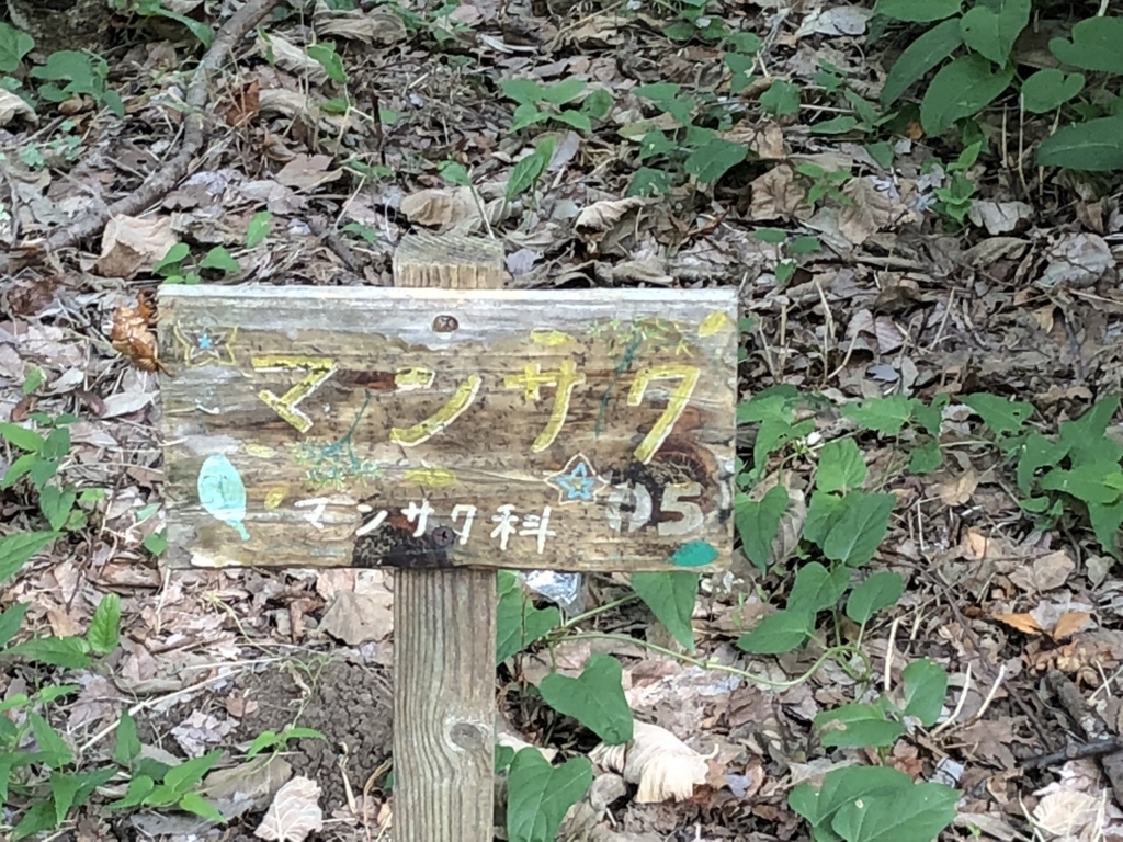 f:id:hideki-sansho:20180724141146j:plain f:id:hideki-sansho:20180724141146j:plain