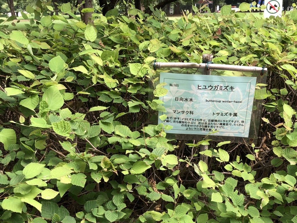 f:id:hideki-sansho:20180724141225j:plain f:id:hideki-sansho:20180724141225j:plain