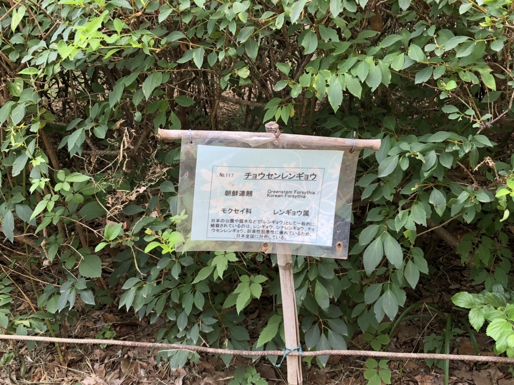 f:id:hideki-sansho:20180724141242j:plain f:id:hideki-sansho:20180724141242j:plain