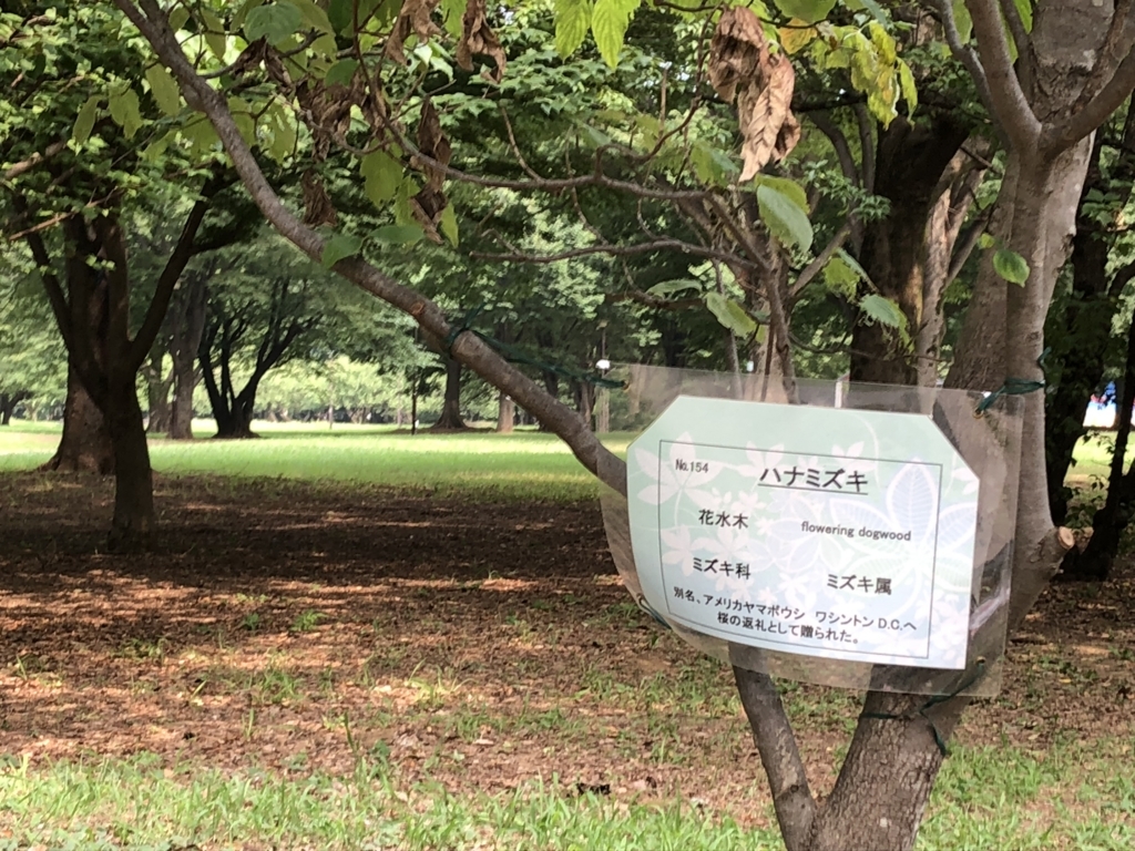 f:id:hideki-sansho:20180724141309j:plain f:id:hideki-sansho:20180724141309j:plain