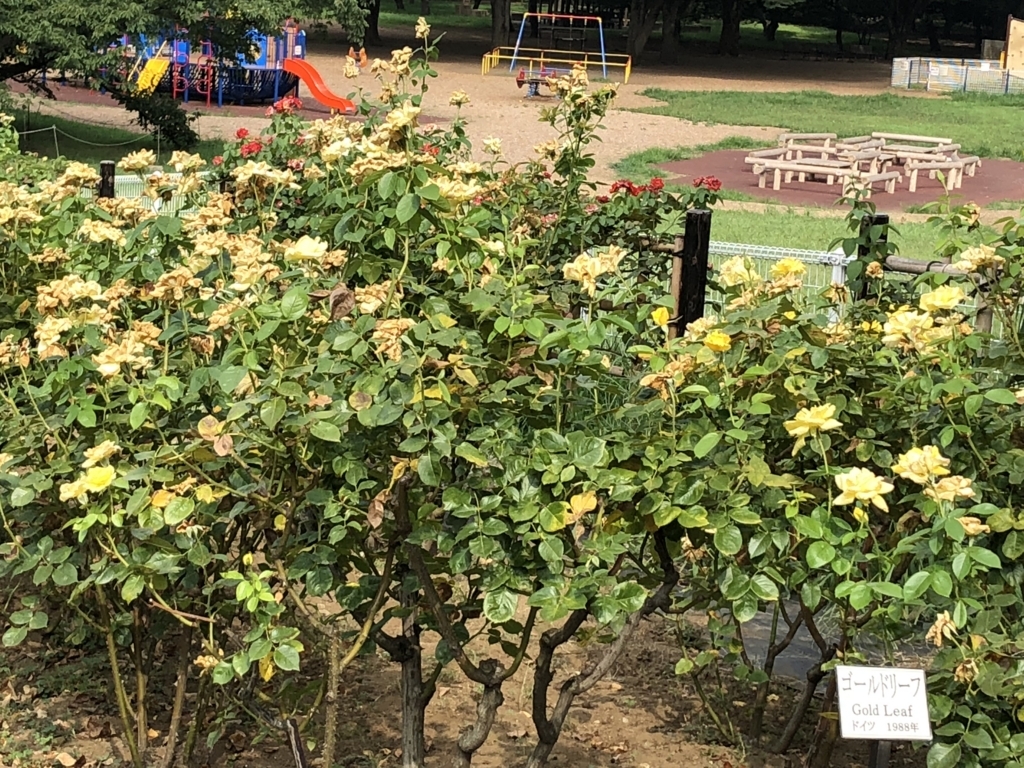 f:id:hideki-sansho:20180724144543j:plain f:id:hideki-sansho:20180724144543j:plain