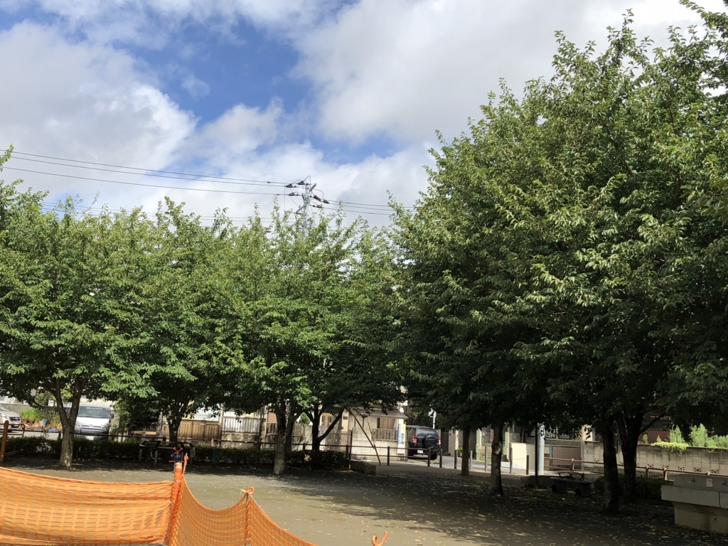 f:id:hideki-sansho:20180729135033j:plain f:id:hideki-sansho:20180729135033j:plain