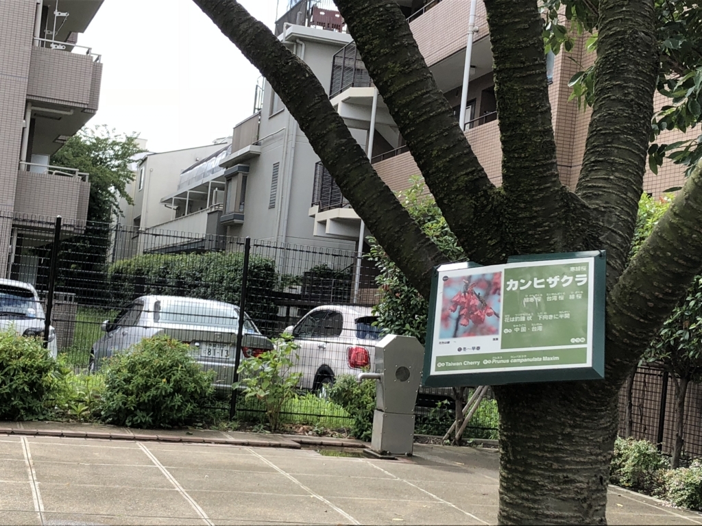 f:id:hideki-sansho:20180729135226j:plain f:id:hideki-sansho:20180729135226j:plain