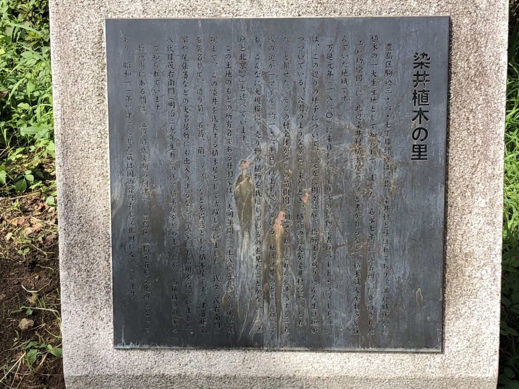 f:id:hideki-sansho:20180729140317j:plain f:id:hideki-sansho:20180729140317j:plain