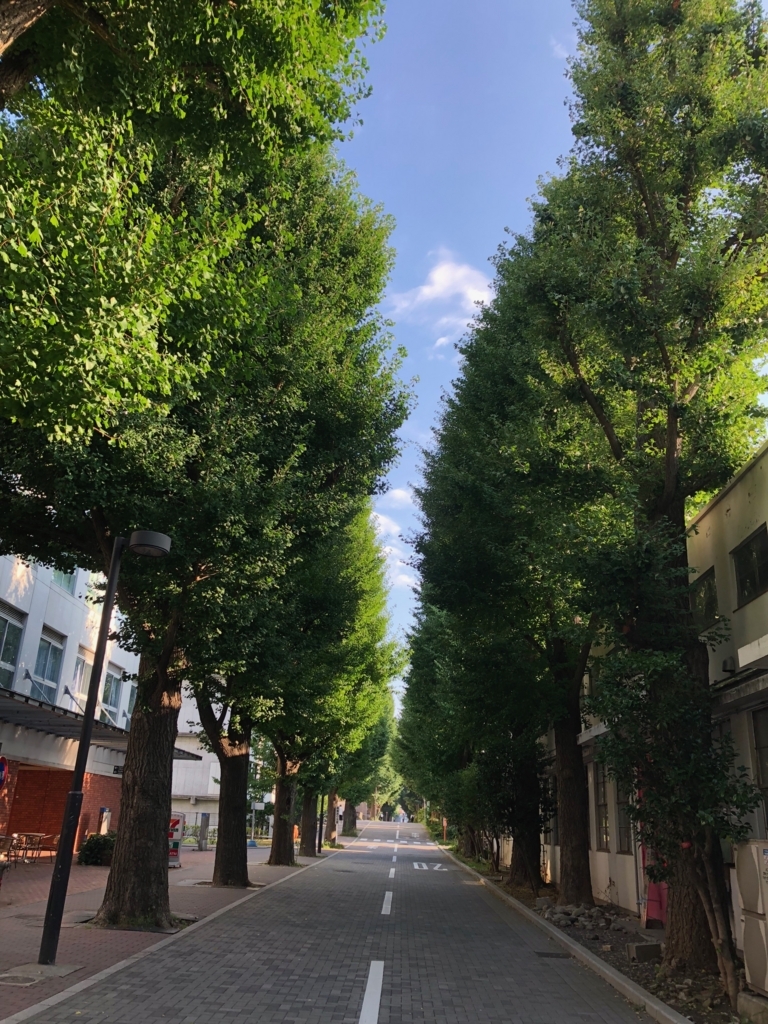 f:id:hideki-sansho:20180801101709j:plain f:id:hideki-sansho:20180801101709j:plain