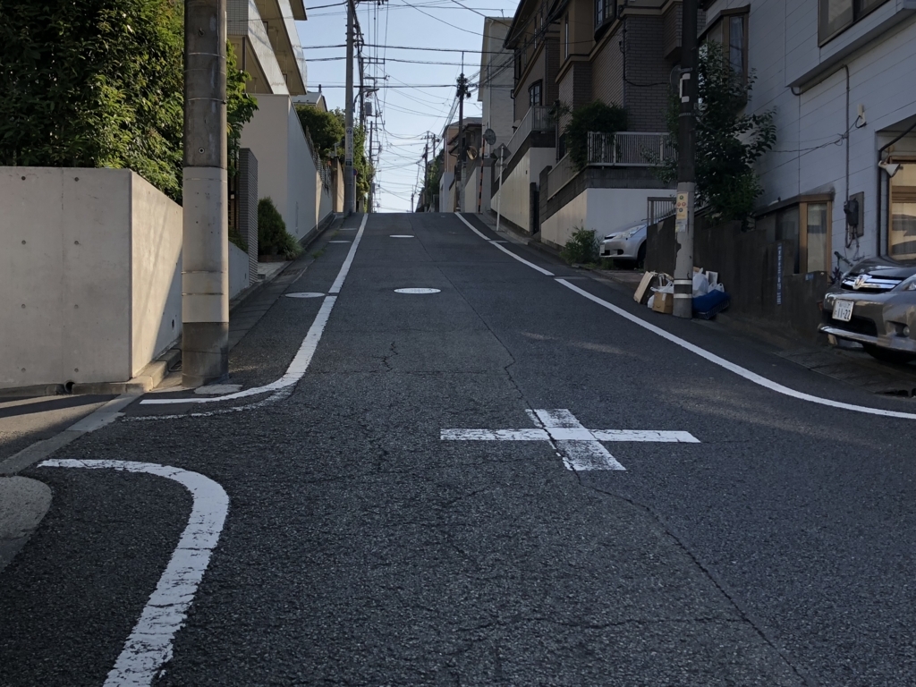 f:id:hideki-sansho:20180801104404j:plain f:id:hideki-sansho:20180801104404j:plain