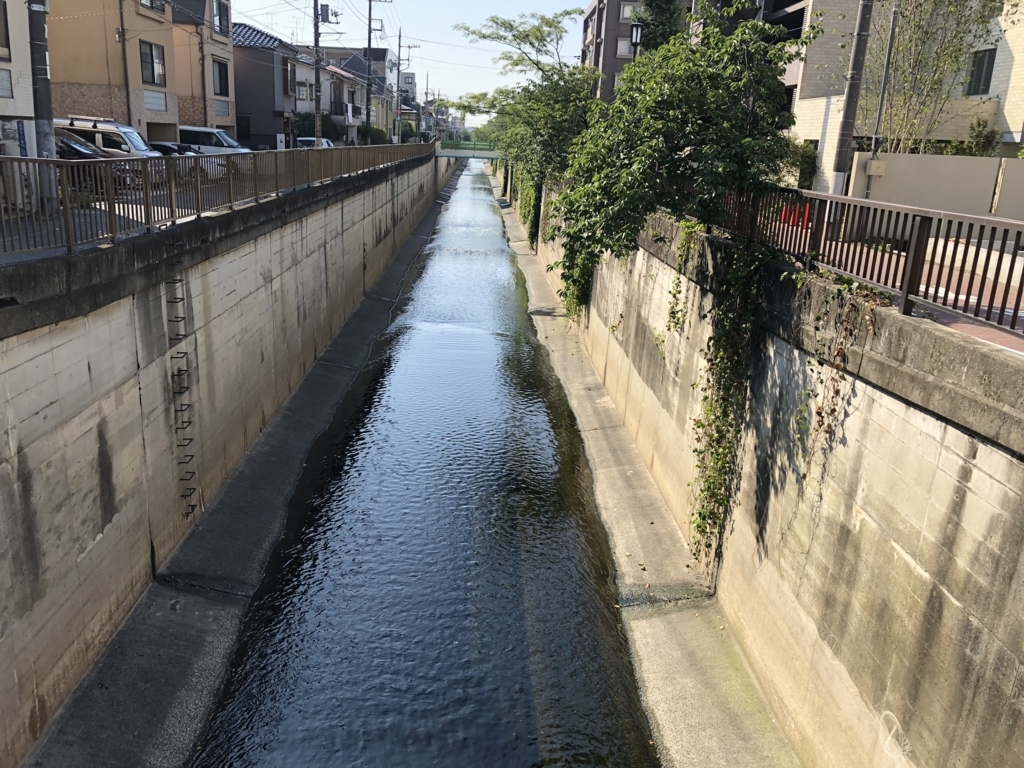 f:id:hideki-sansho:20180801105202j:plain f:id:hideki-sansho:20180801105202j:plain