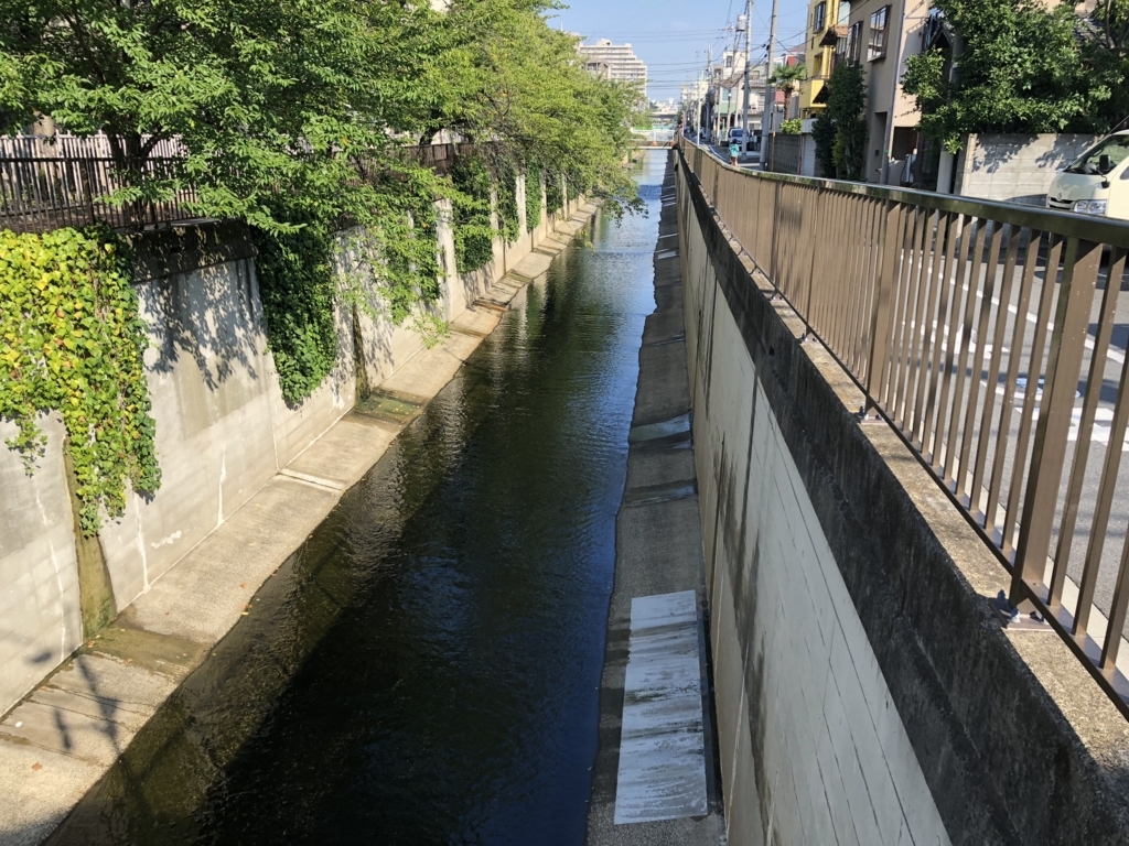 f:id:hideki-sansho:20180801105856j:plain f:id:hideki-sansho:20180801105856j:plain