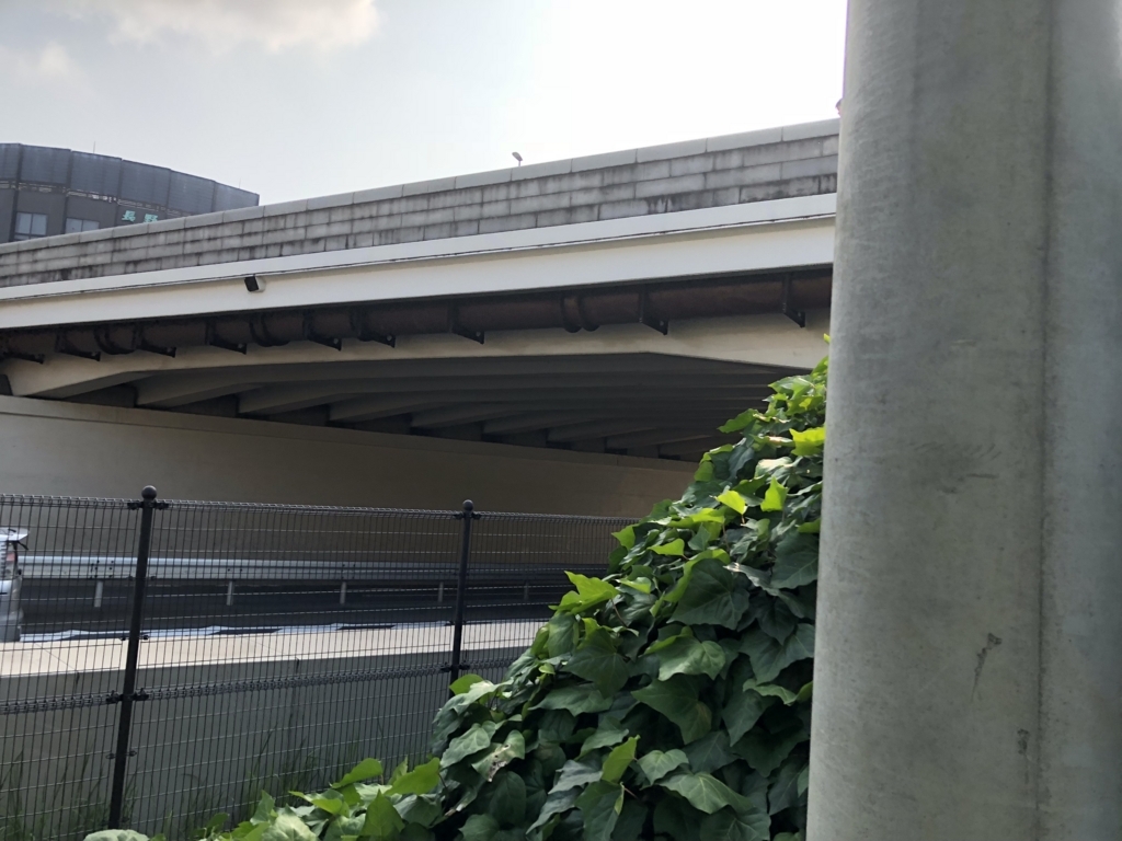 f:id:hideki-sansho:20180805111155j:plain f:id:hideki-sansho:20180805111155j:plain