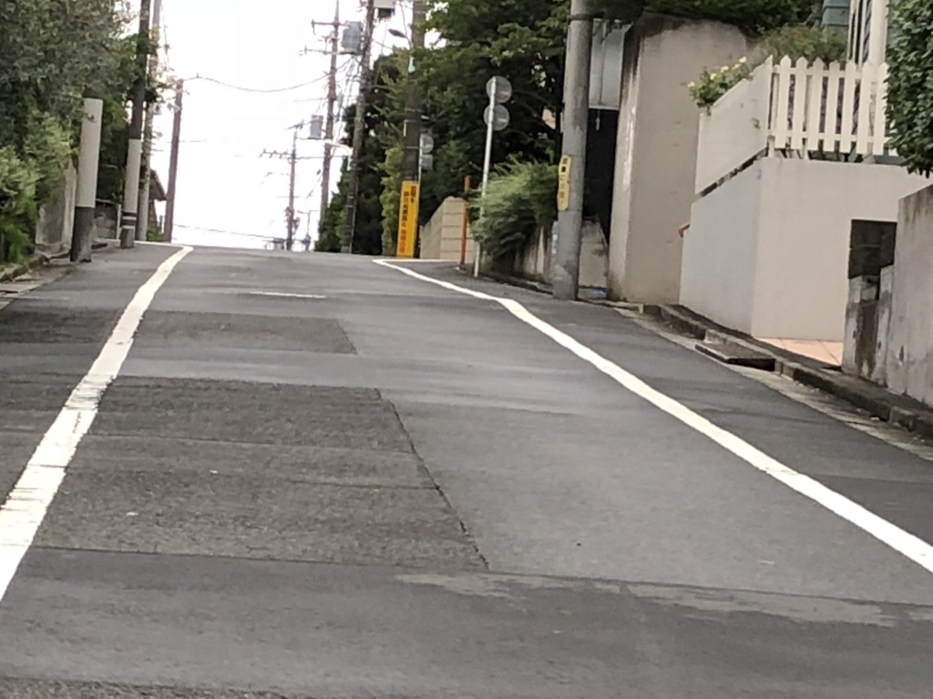 f:id:hideki-sansho:20180809132612j:plain f:id:hideki-sansho:20180809132612j:plain