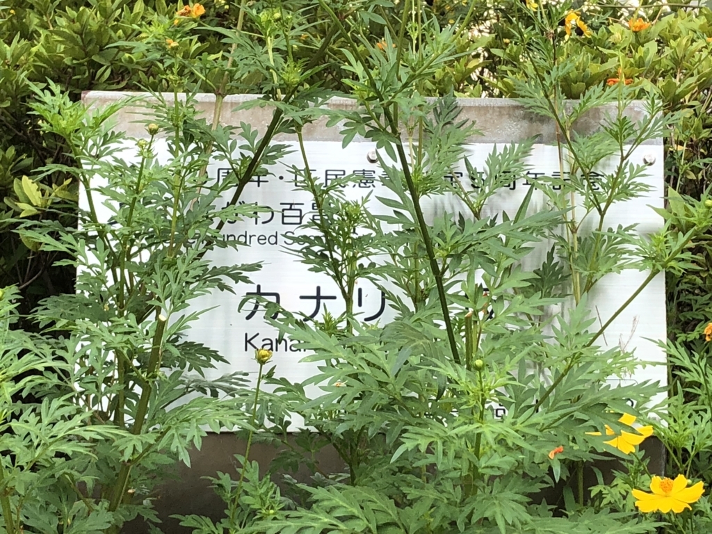 f:id:hideki-sansho:20180811131630j:plain f:id:hideki-sansho:20180811131630j:plain