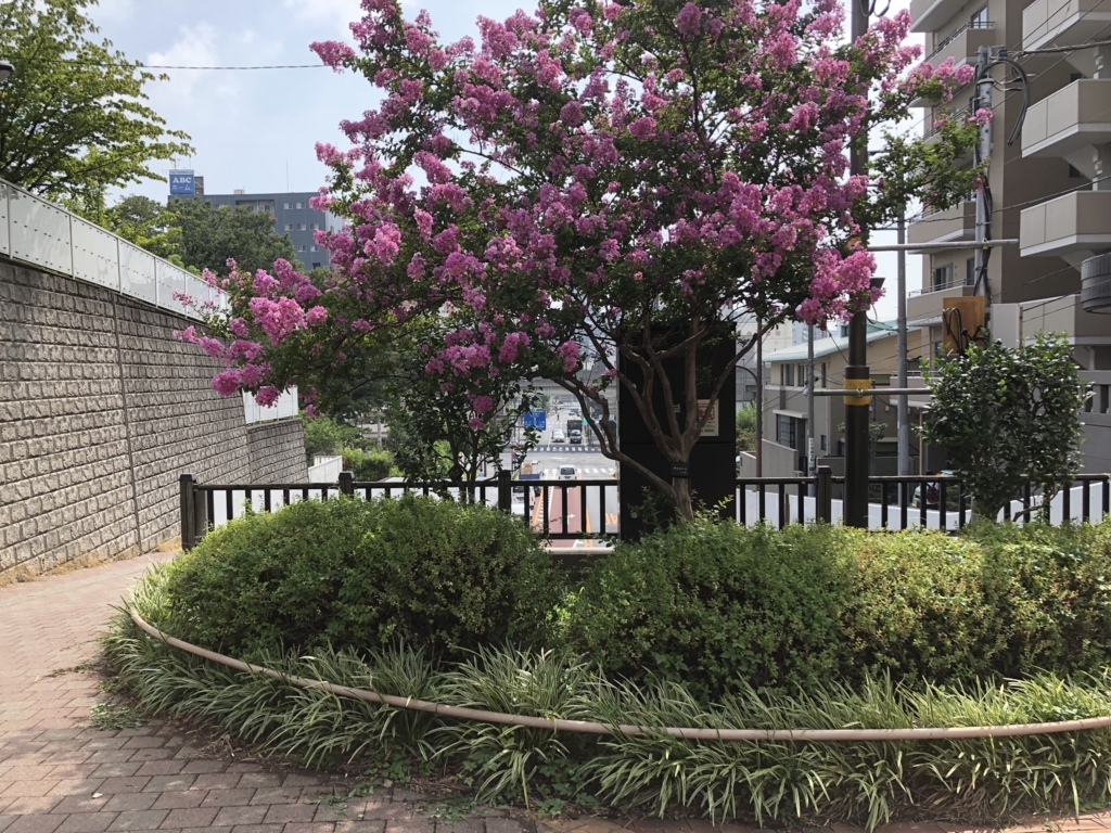 f:id:hideki-sansho:20180813165252j:plain f:id:hideki-sansho:20180813165252j:plain