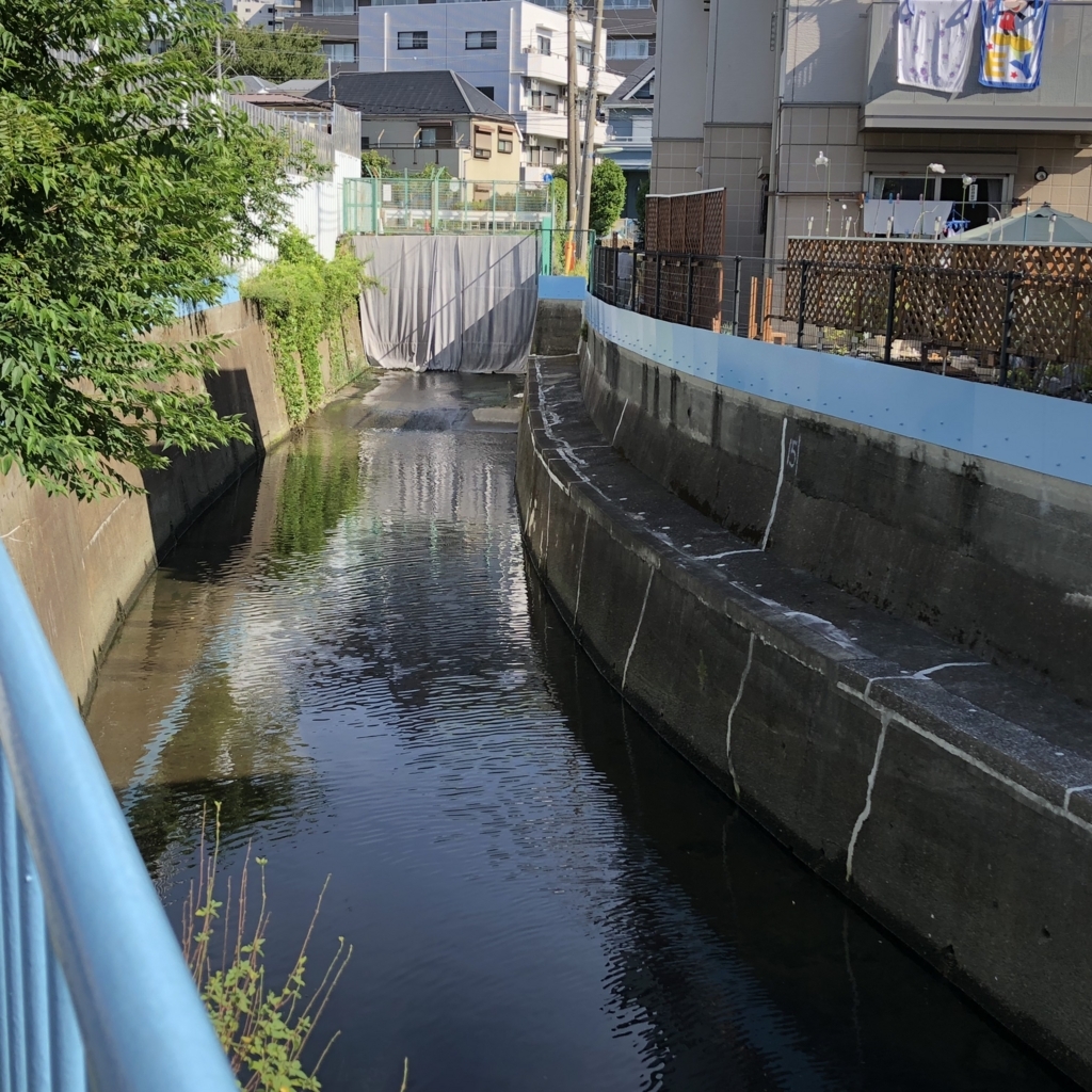f:id:hideki-sansho:20180815143231j:plain f:id:hideki-sansho:20180815143231j:plain