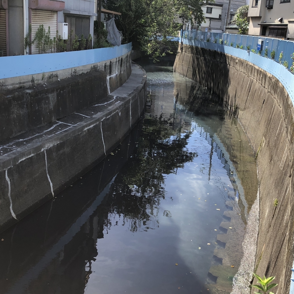 f:id:hideki-sansho:20180815143242j:plain f:id:hideki-sansho:20180815143242j:plain