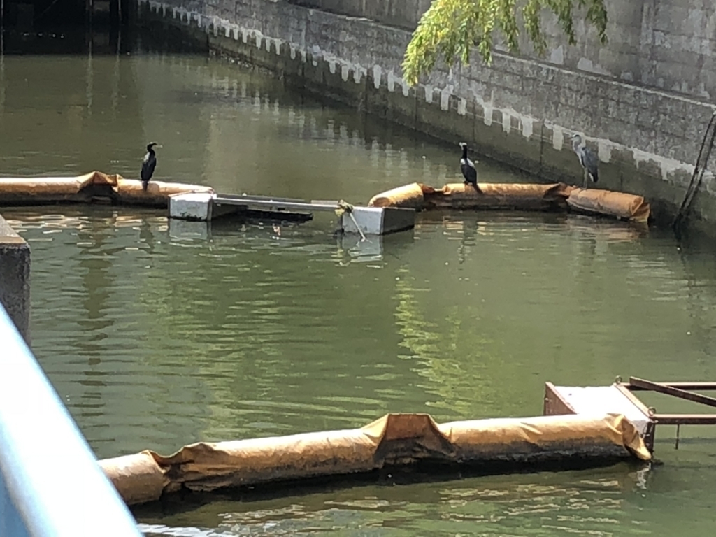 f:id:hideki-sansho:20180815150652j:plain f:id:hideki-sansho:20180815150652j:plain