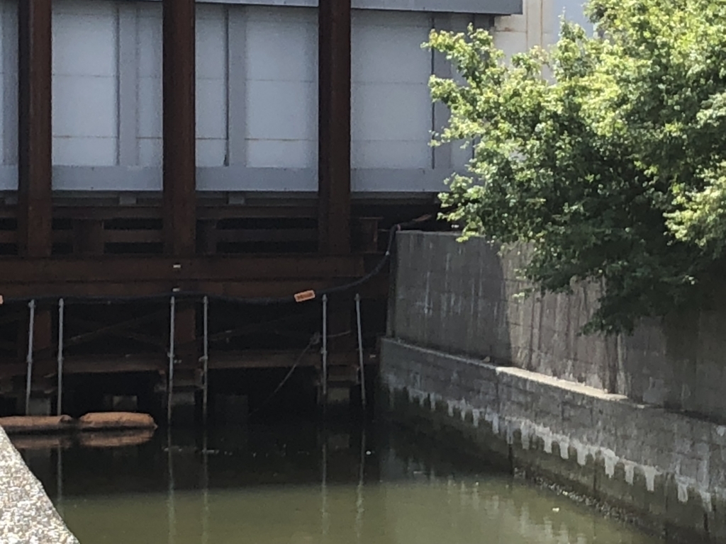 f:id:hideki-sansho:20180815150728j:plain f:id:hideki-sansho:20180815150728j:plain