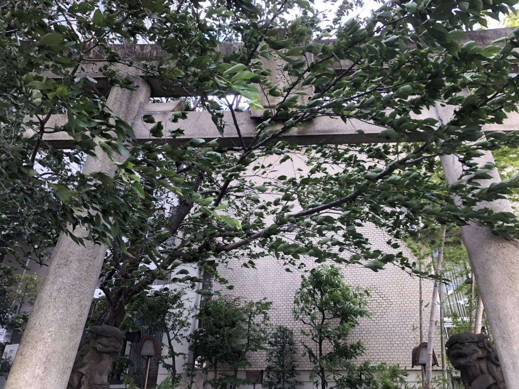 f:id:hideki-sansho:20180817144618j:plain f:id:hideki-sansho:20180817144618j:plain