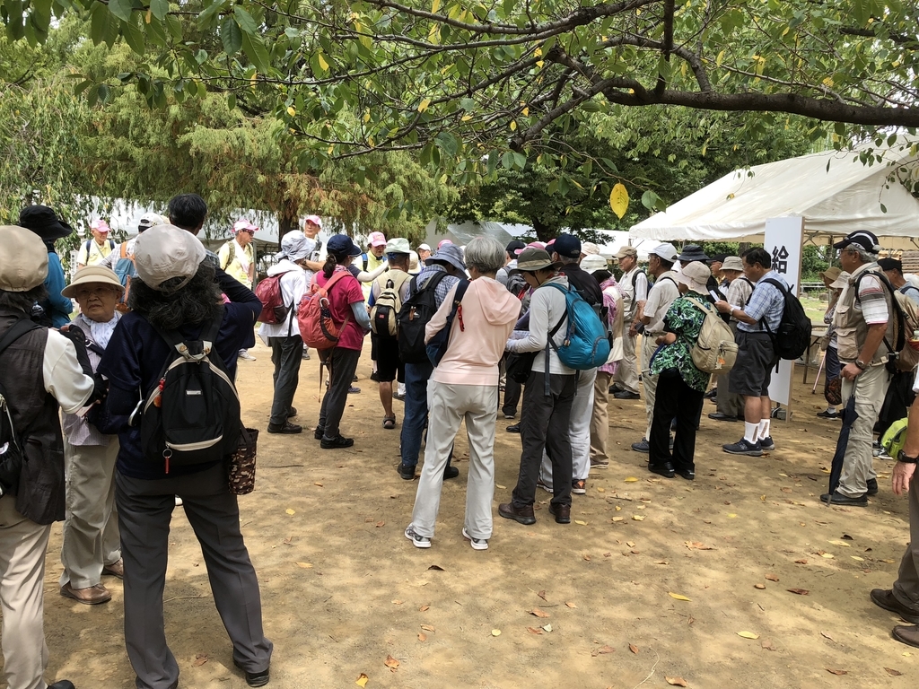 f:id:hideki-sansho:20180901172257j:plain f:id:hideki-sansho:20180901172257j:plain