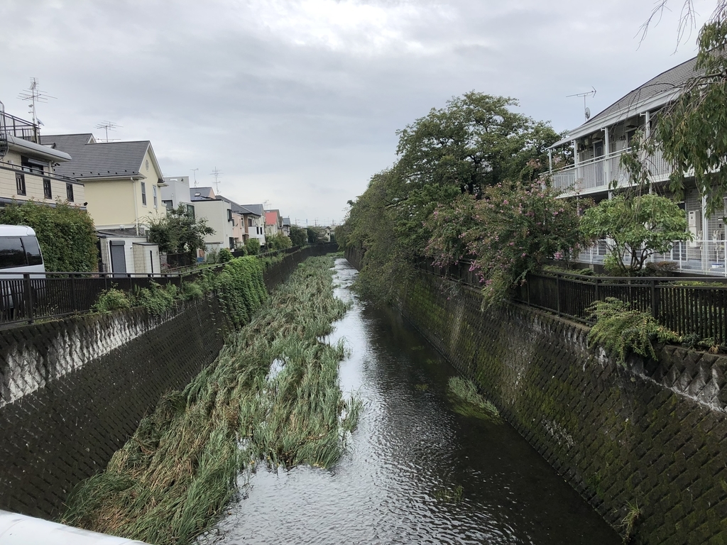 f:id:hideki-sansho:20180903164236j:plain f:id:hideki-sansho:20180903164236j:plain