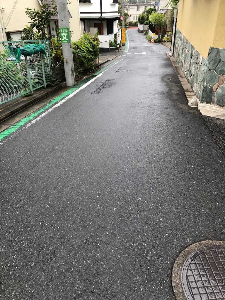 f:id:hideki-sansho:20180903165353j:plain f:id:hideki-sansho:20180903165353j:plain