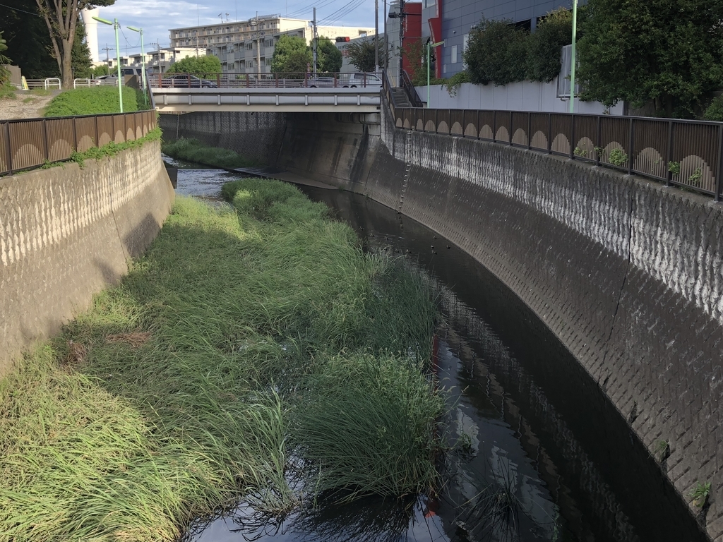 f:id:hideki-sansho:20180908112401j:plain f:id:hideki-sansho:20180908112401j:plain