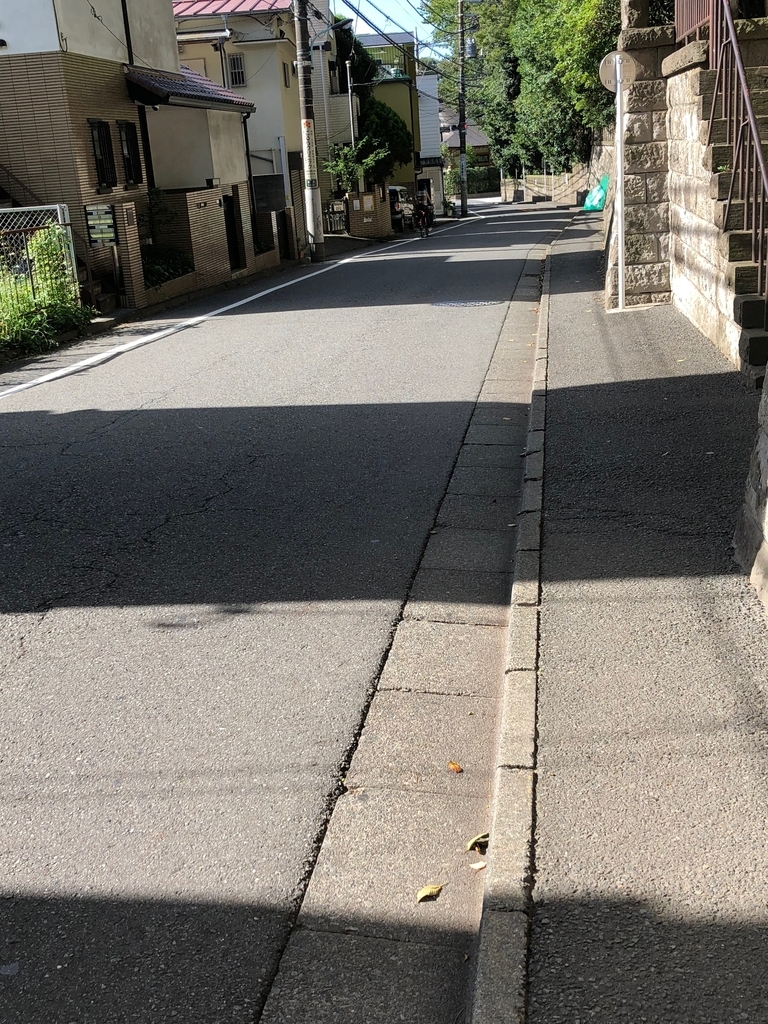 f:id:hideki-sansho:20180908115113j:plain f:id:hideki-sansho:20180908115113j:plain