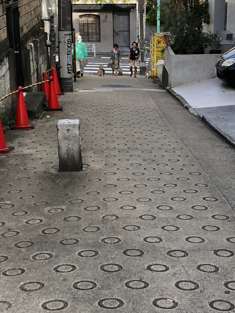 f:id:hideki-sansho:20180912134108j:plain f:id:hideki-sansho:20180912134108j:plain