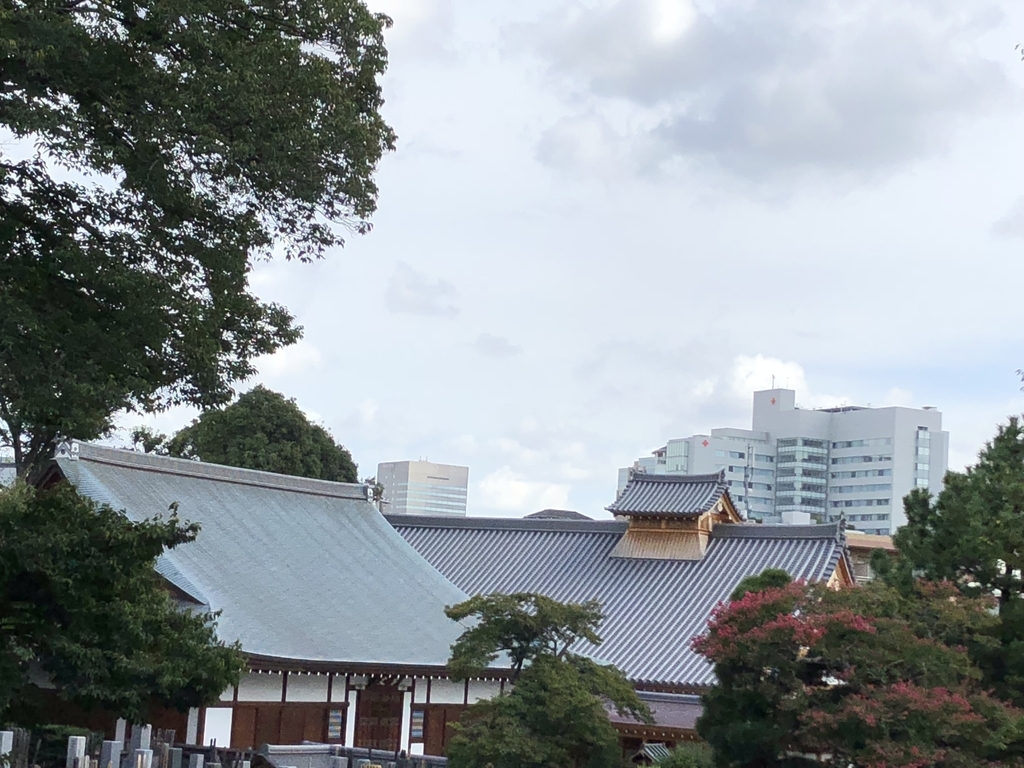 f:id:hideki-sansho:20180912140141j:plain f:id:hideki-sansho:20180912140141j:plain