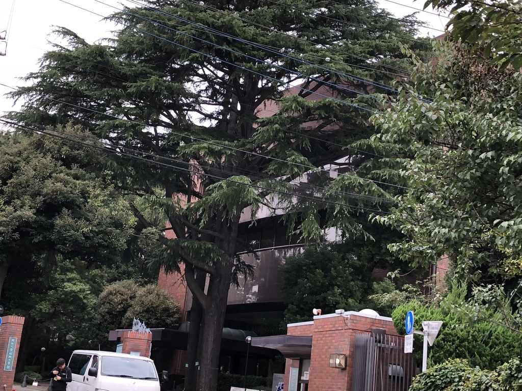 f:id:hideki-sansho:20180929143814j:plain f:id:hideki-sansho:20180929143814j:plain