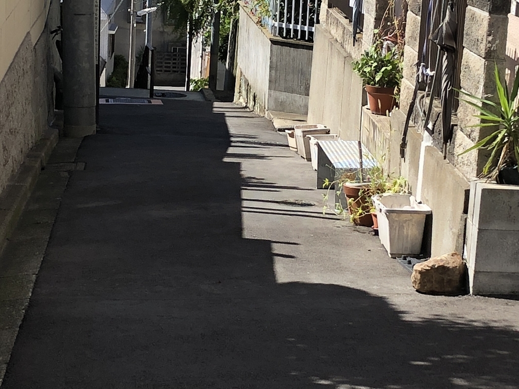 f:id:hideki-sansho:20181001192421j:plain f:id:hideki-sansho:20181001192421j:plain