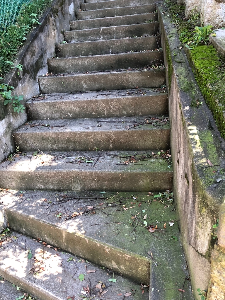 f:id:hideki-sansho:20181001194920j:plain f:id:hideki-sansho:20181001194920j:plain