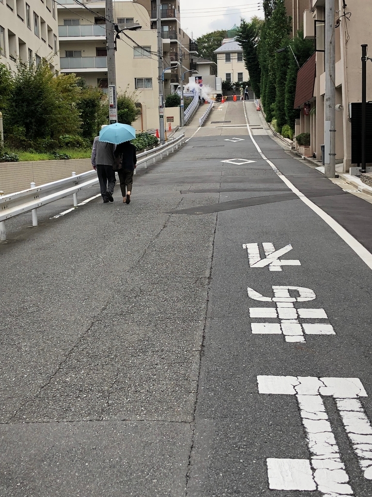 f:id:hideki-sansho:20181003172216j:plain f:id:hideki-sansho:20181003172216j:plain