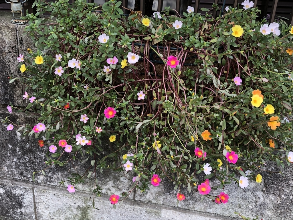 f:id:hideki-sansho:20181010132804j:plain f:id:hideki-sansho:20181010132804j:plain