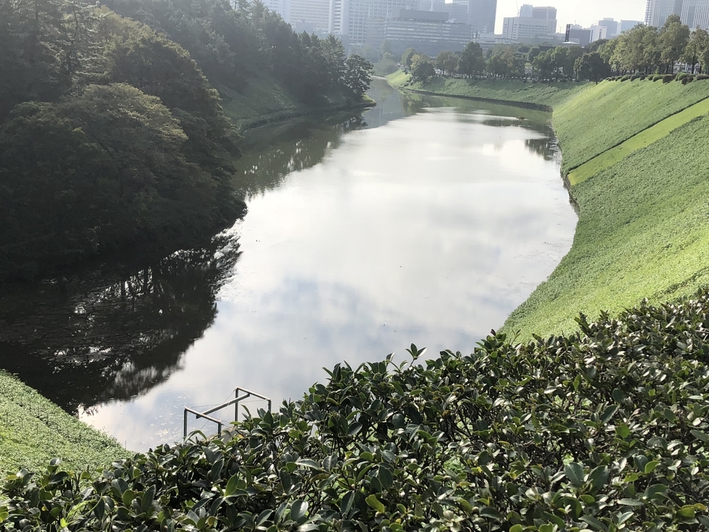 f:id:hideki-sansho:20181010135555j:plain f:id:hideki-sansho:20181010135555j:plain
