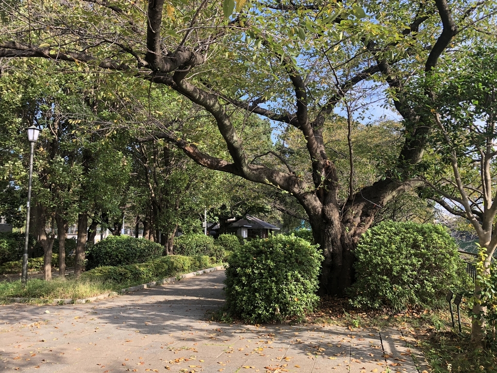 f:id:hideki-sansho:20181010135919j:plain f:id:hideki-sansho:20181010135919j:plain