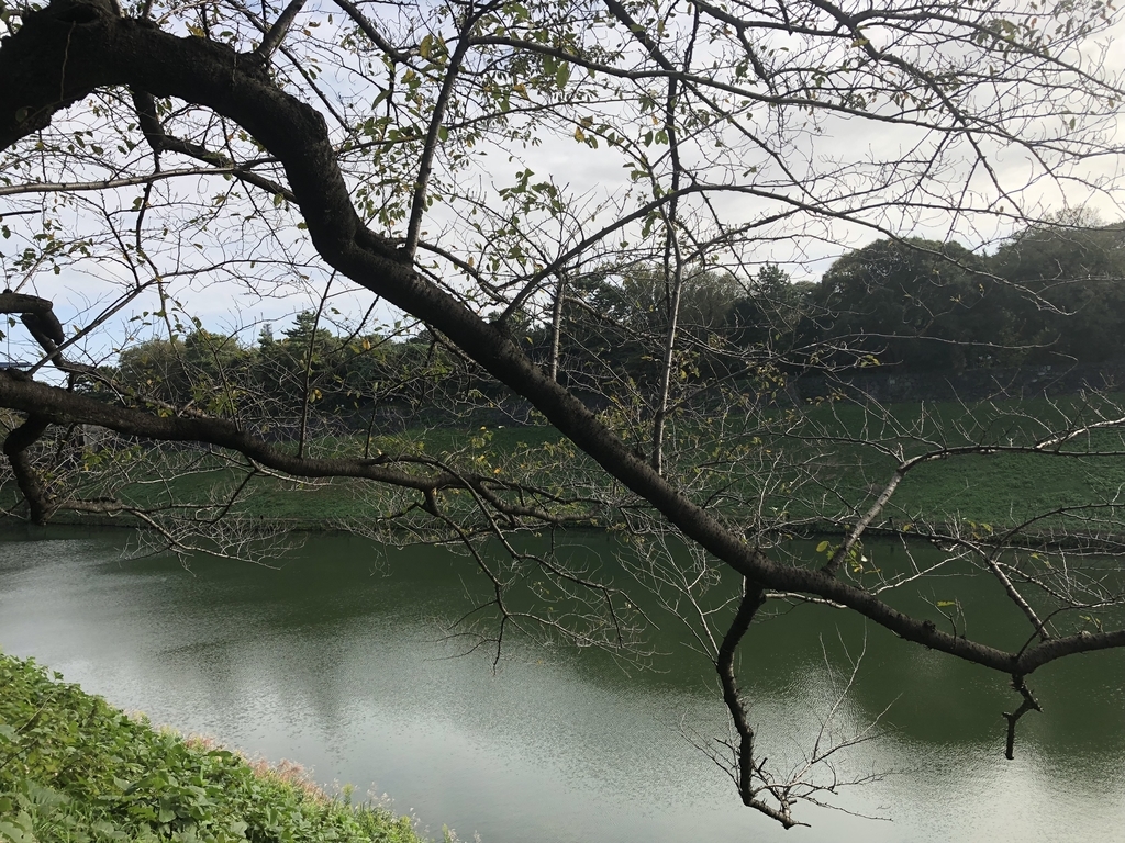 f:id:hideki-sansho:20181010140928j:plain f:id:hideki-sansho:20181010140928j:plain