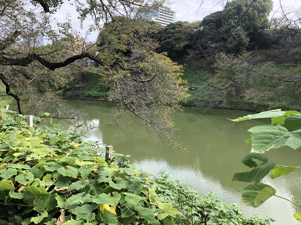 f:id:hideki-sansho:20181010141110j:plain f:id:hideki-sansho:20181010141110j:plain