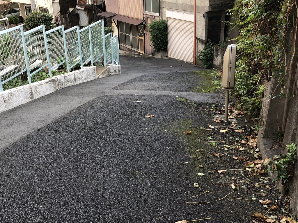f:id:hideki-sansho:20181010143051j:plain f:id:hideki-sansho:20181010143051j:plain