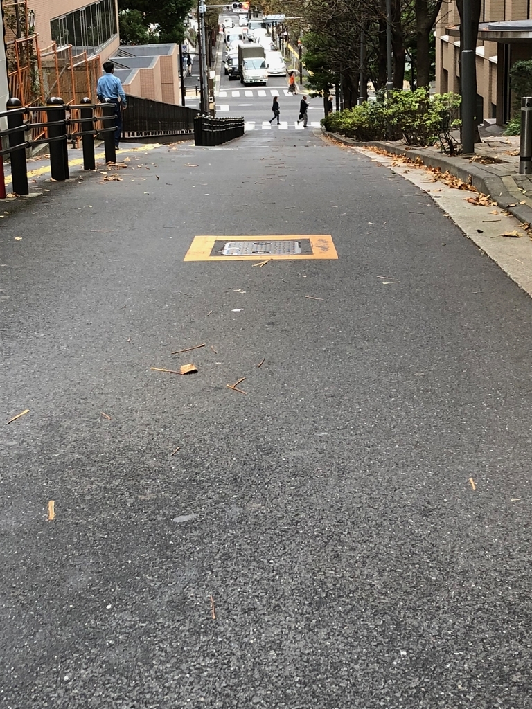 f:id:hideki-sansho:20181012135120j:plain f:id:hideki-sansho:20181012135120j:plain