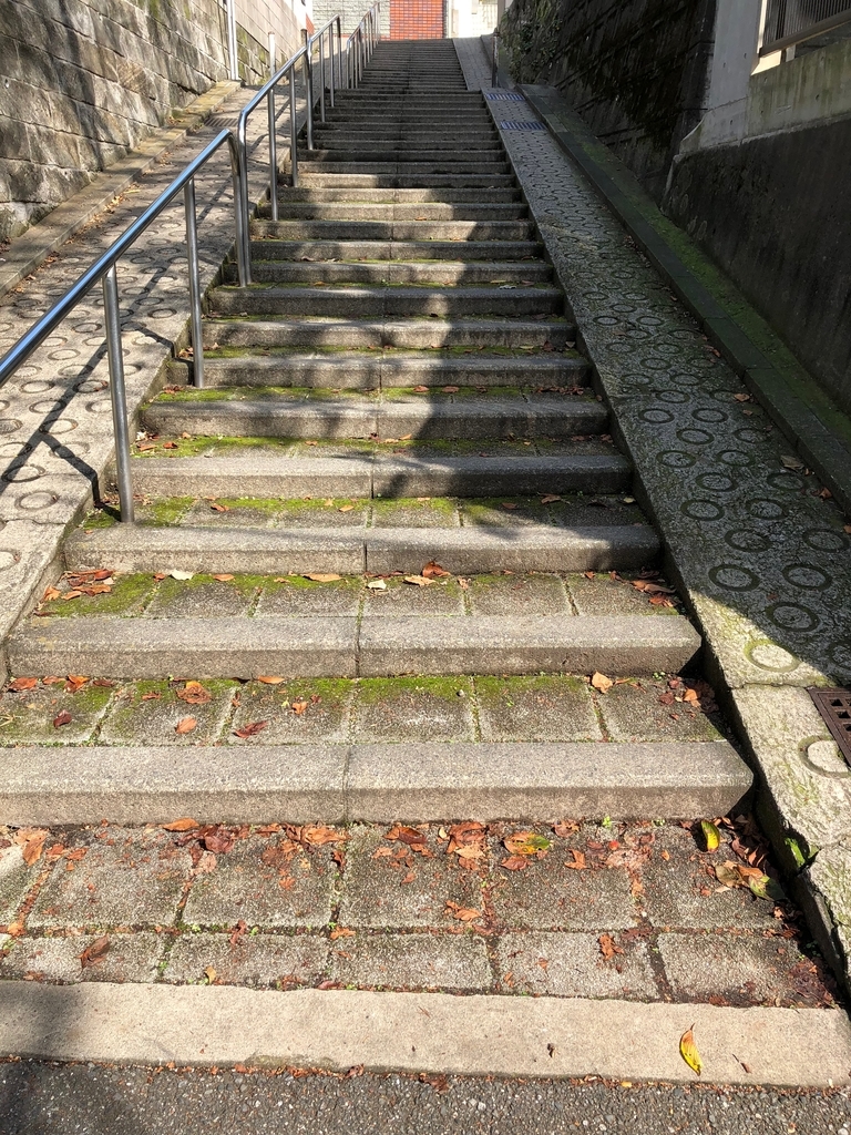 f:id:hideki-sansho:20181017173450j:plain f:id:hideki-sansho:20181017173450j:plain
