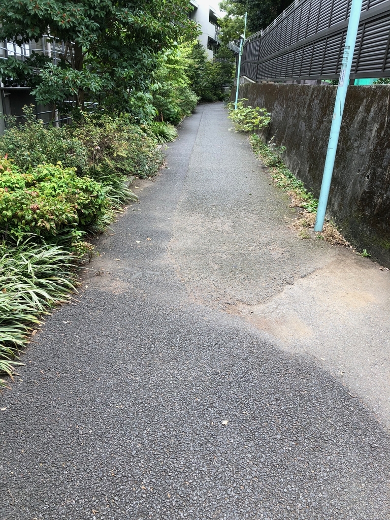 f:id:hideki-sansho:20181019172902j:plain f:id:hideki-sansho:20181019172902j:plain