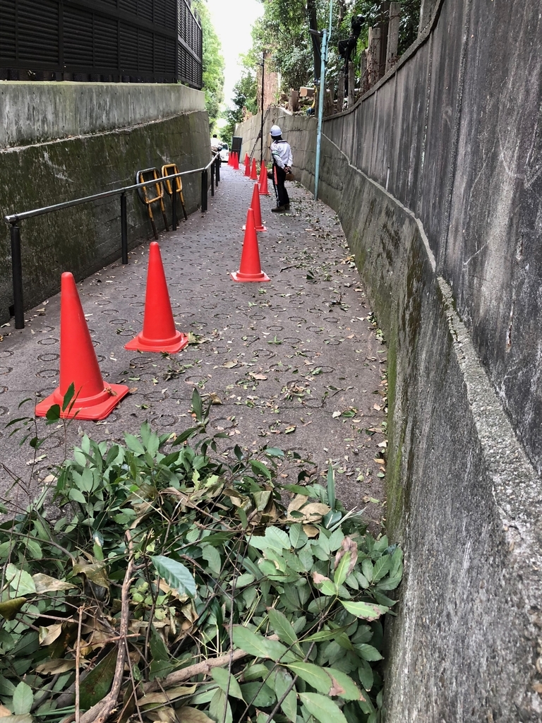 f:id:hideki-sansho:20181019172939j:plain f:id:hideki-sansho:20181019172939j:plain