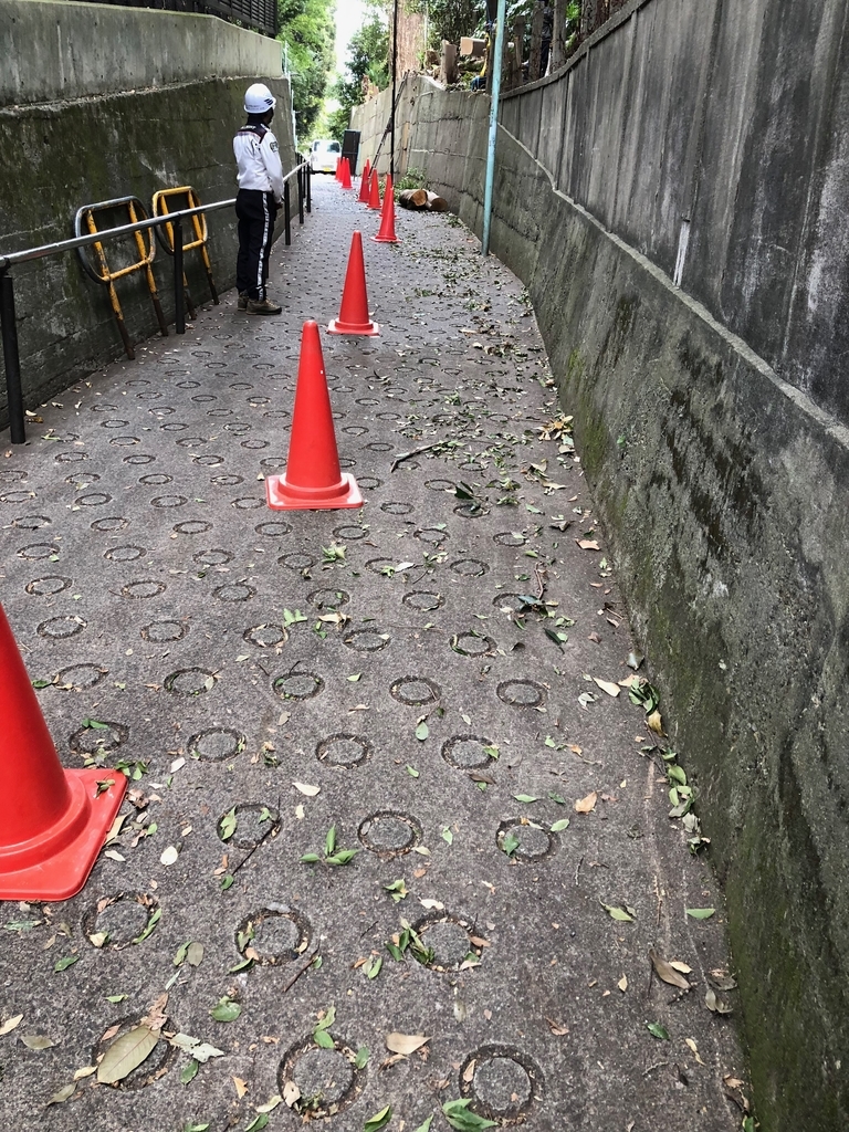 f:id:hideki-sansho:20181019172955j:plain f:id:hideki-sansho:20181019172955j:plain