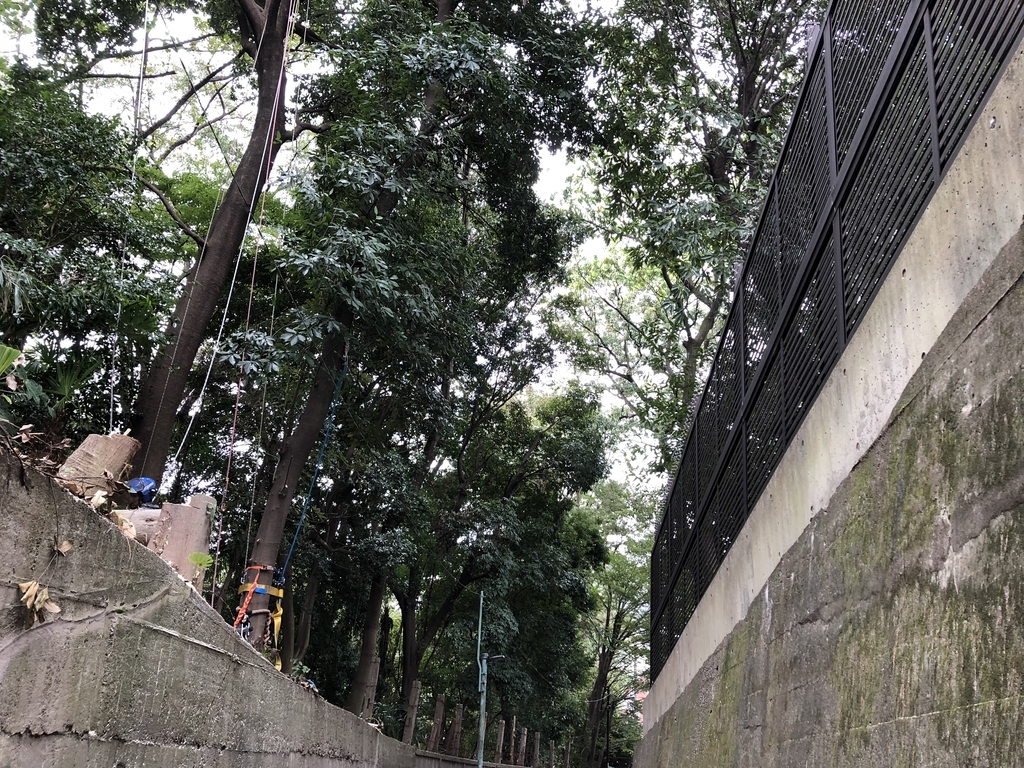 f:id:hideki-sansho:20181019173921j:plain