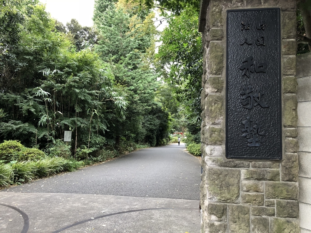 f:id:hideki-sansho:20181019174212j:plain f:id:hideki-sansho:20181019174212j:plain