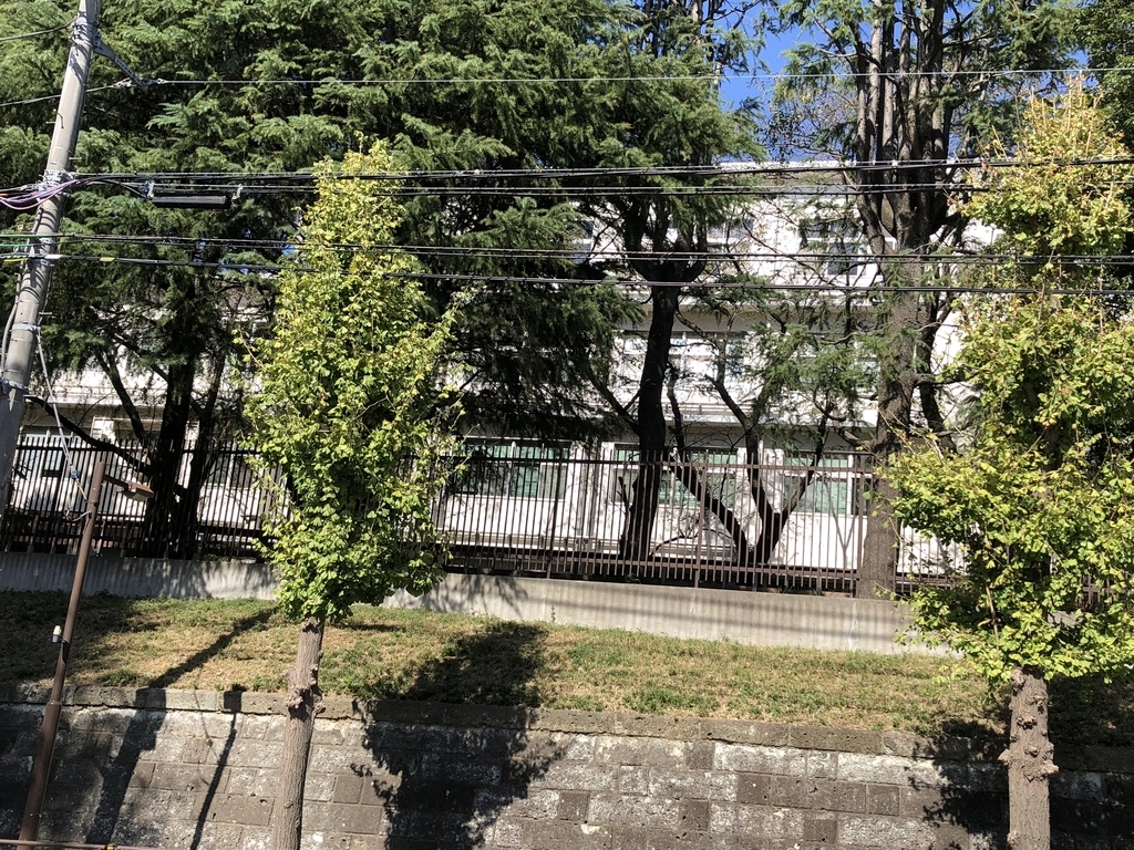 f:id:hideki-sansho:20181021183854j:plain f:id:hideki-sansho:20181021183854j:plain