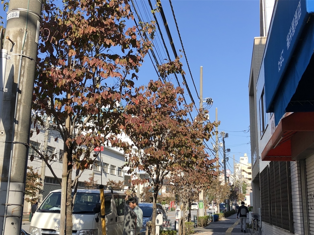 f:id:hideki-sansho:20181022130328j:plain f:id:hideki-sansho:20181022130328j:plain