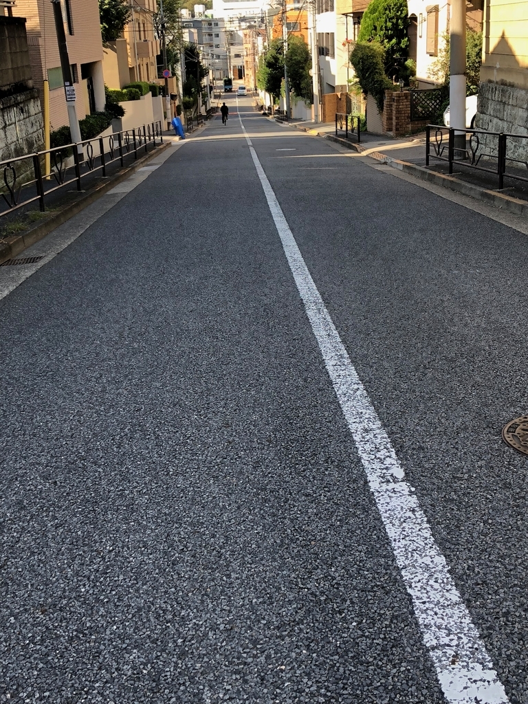 f:id:hideki-sansho:20181022130616j:plain f:id:hideki-sansho:20181022130616j:plain